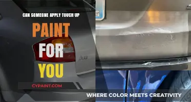Revamping Your Ride: The Convenience of Professional Touch-Up Paint Services