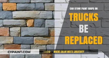 Exploring Alternatives: Can Stone Paint on Ships Be Replaced?