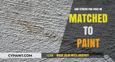 Exploring the Possibilities: Can Stucco Fog Coat Be Matched to Paint?