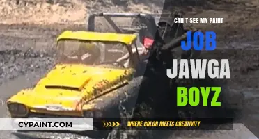 Unveiling the Invisible: A Deep Dive into Jawga Boyz' Paint Job