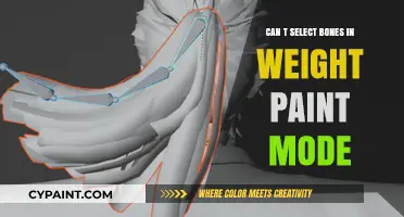 Troubleshooting Weight Paint Mode: Bone Selection Issues Resolved