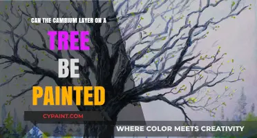 Exploring the Paintability of Tree Cambium Layers