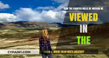 Exploring Oregon's Painted Hills: Best Times and Views for Visitors