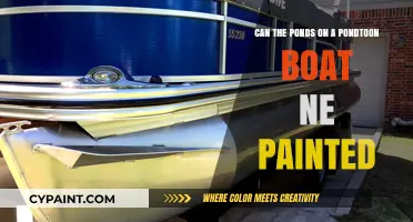 Pontoon Boat Ponds: Can They Be Painted?