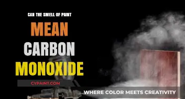 Unveiling the Hidden Danger: Paint Fumes and Carbon Monoxide