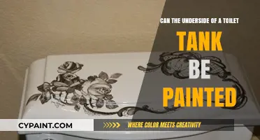 Transform Your Toilet: Paint the Underside of Your Tank