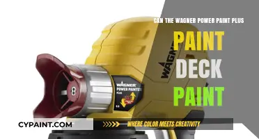 Wagner Power Paint Plus: Painting Your Deck Effortlessly