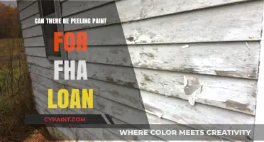 Unveiling the Truth: Peeling Paint and FHA Loans
