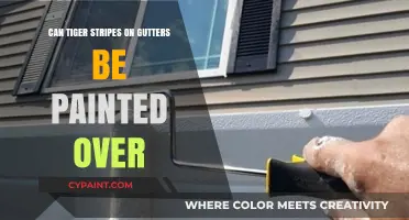 Revamping Your Gutters: Can You Paint Over Tiger Stripes?