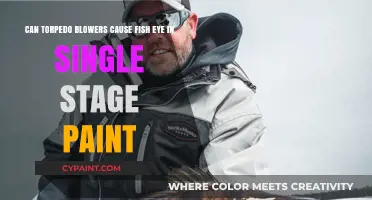 Torpedo Blowers and Fish Eye: Single-Stage Paint Issues Explored