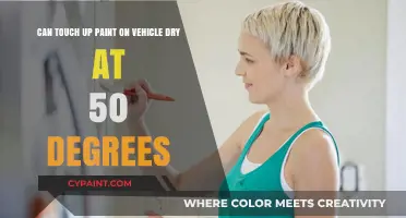 Can Touch-Up Paint Dry at 50 Degrees? Tips and Insights