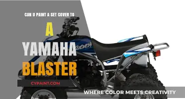 Customizing Your Yamaha Blaster: Painting a Set Cover Guide