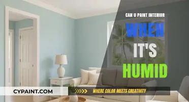 Painting in Humidity: Tips and Tricks for a Flawless Finish