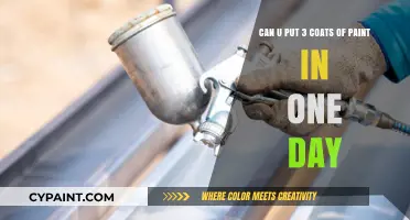 Can You Apply Three Coats of Paint in a Single Day?