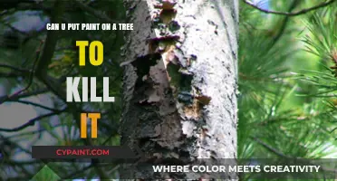 Can Paint Kill Trees? Debunking Myths and Understanding Tree Health