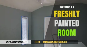 Fresh Paint, Fresh Dreams: Can You Sleep in a Newly Painted Room?