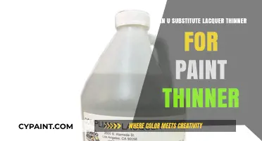 Exploring Solvent Alternatives: Lacquer Thinner vs Paint Thinner