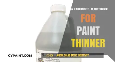 Exploring Solvent Alternatives: Lacquer Thinner vs Paint Thinner