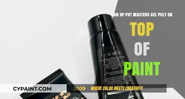 Can You Apply Master's Gel Poly Over Paint? A Guide