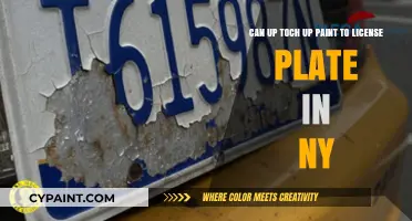 Can You Legally Touch Up Paint on NY License Plates?