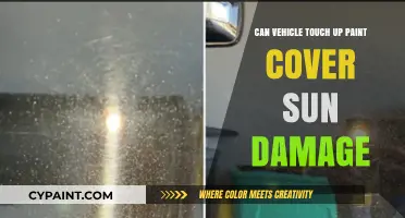 Revive Your Ride: Can Touch-Up Paint Reverse Sun Damage?