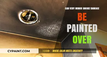Reviving Your Walls: Can Minor Smoke Damage Be Painted Over?