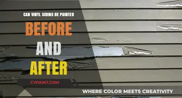 Revamping Your Home's Exterior: Painting Vinyl Siding Before and After