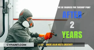 Can You Be Charged for Touch-Up Paint After Two Years?