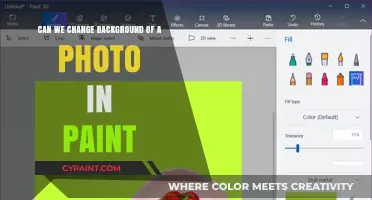 How to Change Photo Backgrounds in MS Paint
