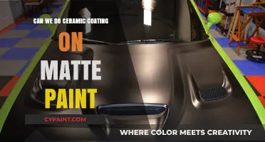 Exploring Ceramic Coating on Matte Paint: A Comprehensive Guide