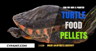 Feeding Painted Turtles: A Guide to Safe Food Pellets