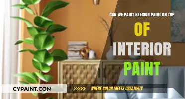 Exterior Over Interior Paint: Can You Mix and Match Safely?
