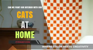 Painting with Cats: Tips for Interior Projects with Feline Friends