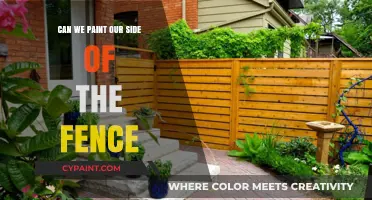 Revamping Boundaries: The Art of Painting Your Side of the Fence