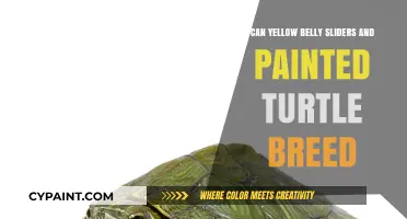 Exploring the Possibility of Yellow Belly Slider and Painted Turtle Hybridization