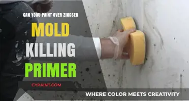 Revamping Your Walls: Painting Over Zinsser Mold Killing Primer