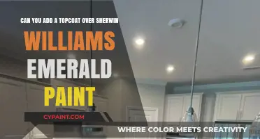 Enhancing Durability: Applying Topcoat Over Sherwin Williams Emerald Paint