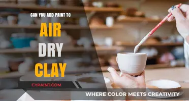 Revamping Creativity: The Art of Adding Paint to Air-Dry Clay