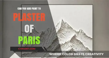 Enhancing Plaster of Paris: The Art of Adding Paint for Stunning Results