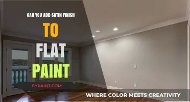 Transforming Flat Paint: The Satin Finish Makeover