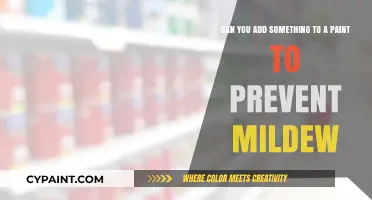 Prevent Mildew in Paint: Additives to Keep Walls Mold-Free