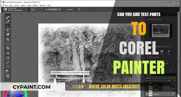 Exploring Text Font Integration in Corel Painter: A Comprehensive Guide