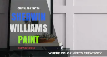 Enhancing Your Walls: The Art of Adding Tont to Sherwin-Williams Paint