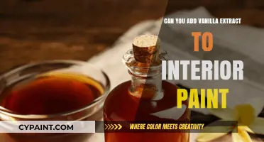 Infusing Your Walls with Warmth: The Vanilla Extract Paint Trend