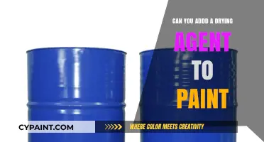 Enhancing Paint Performance: The Role of Drying Agents