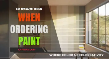 Tailoring Your Paint Order: The Flexibility of LRV Adjustments