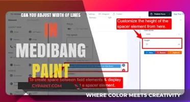 Adjusting Line Width in MediBang Paint: Customizing Your Art