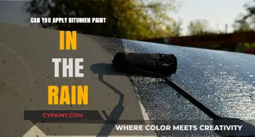 Rainy Day Roofing: Can Bitumen Paint Be Applied in Wet Conditions?