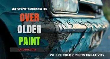 Revamping Your Ride: Ceramic Coating Over Older Paint
