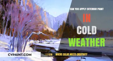 Chilly Weather Painting: Tips for Exterior Projects in Cold Temps